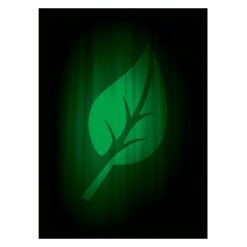 50 Buste Super Iconic Life