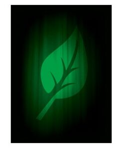 50 Buste Super Iconic Life