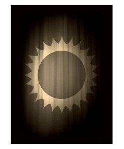 50 Buste Super Iconic Sun