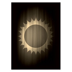50 Buste Super Iconic Sun