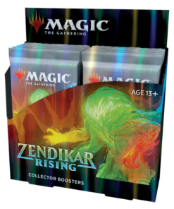 Magic The Gathering - Zendikar Rising Collector Booster Display (12 Packs) - ENG