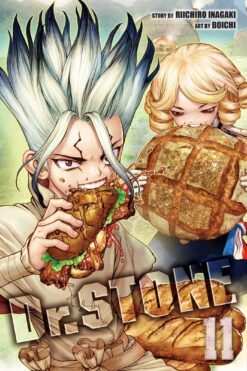 Dr. Stone Vol. 11