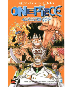 ONE PIECE - VOL.45