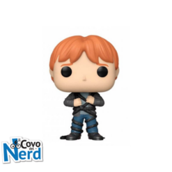 Funko POP Vinyl Figure! Harry Potter: HP Anniversary- Ron in Devil's Snare 134