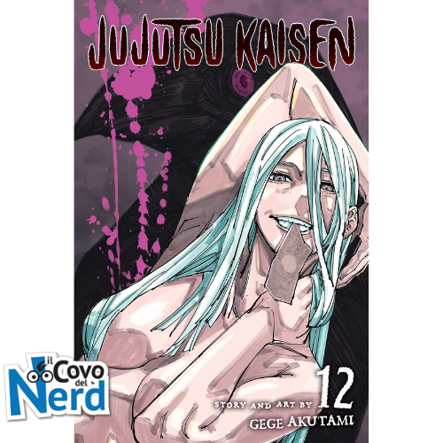 Jujutsu Kaisen - Sorcery Fight Vol.12