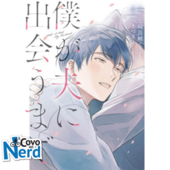 Until I Meet My Husband - Manga