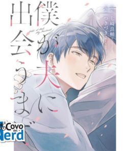 Until I Meet My Husband - Manga