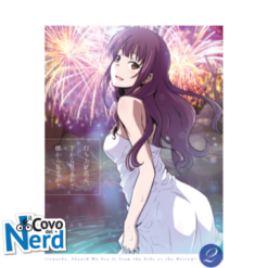 Fireworks - Vanno Visti di Lato o dal Basso? Vol.2