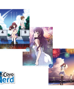 Fireworks - Vanno Visti di Lato o dal Basso? Bundle