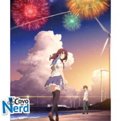 Fireworks - Vanno Visti di Lato o dal Basso? Romanzo