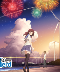 Fireworks - Vanno Visti di Lato o dal Basso? Romanzo