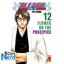 Bleach - Vol.12
