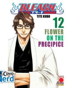 Bleach - Vol.12