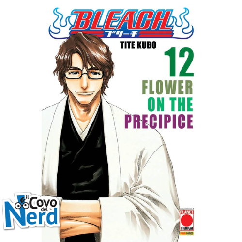Bleach - Vol.12