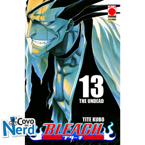 Bleach - Vol.13