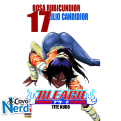 Bleach - Vol.17