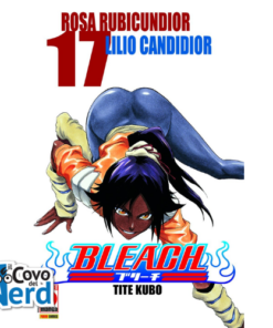 Bleach - Vol.17