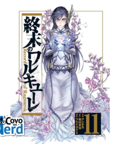 Record of Ragnarok vol.11