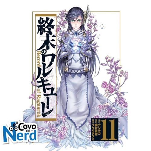 Record of Ragnarok vol.11