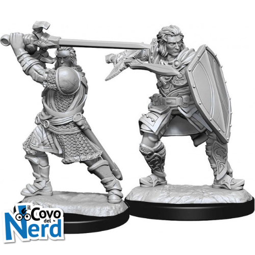 Alternative view of D&D Human Paladin Male (x2) - Nolzur's Marvelous Miniatures - WZK90220