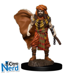 D&D Human Druid Male - Icons of the Realm Premium - WZK93031
