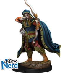 D&D Elf Rogue Male - Icons of the Realm Premium - WZK93048
