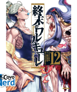 Record of Ragnarok vol.12