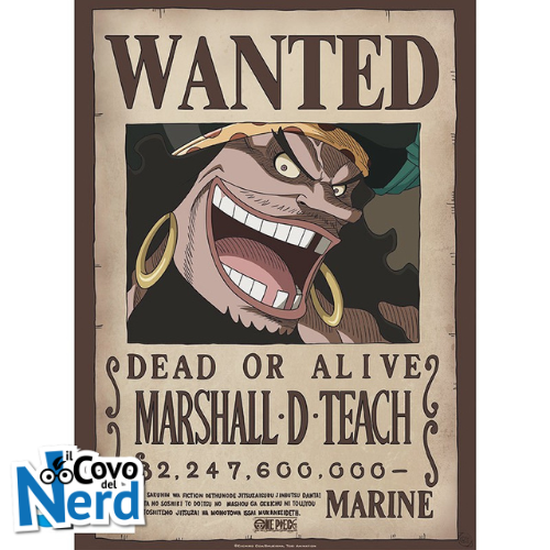 ONE PIECE - Poster Wanted Blackbeard (52x35) GBYDCO267