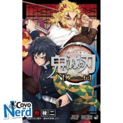 Demon Slayer - Kimetsu no Yaiba Another Story