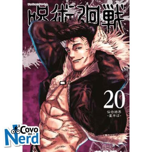 Jujutsu Kaisen - Sorcery Fight Vol.20