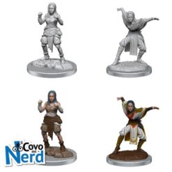 Pathfinder Half-elf Monk Female (x2) - Deep Cuts - WZK90652