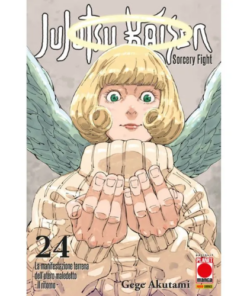 Jujutsu Kaisen - Sorcery Fight Vol.24