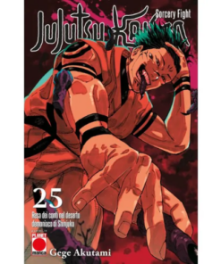 Jujutsu Kaisen - Sorcery Fight Vol.25