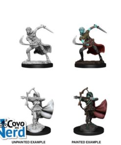 D&D Air Genasi Female - Nolzur's Marvelous Miniatures - WZK90305