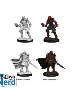 D&D Dragonborn Fighter Female - Nolzur's Marvelous Miniatures - WZK90302