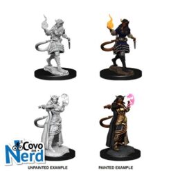 D&D Tiefling Sorcerer Female - Nolzur's Marvelous Miniatures - WZK90304