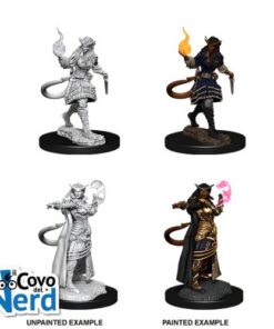 D&D Tiefling Sorcerer Female - Nolzur's Marvelous Miniatures - WZK90304