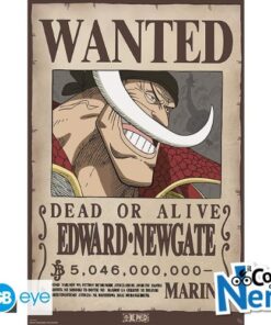 One Piece - Poster "Wanted Barbabianca" (91.5x61) GBYDCO596