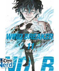 Wind Breaker Vol.11