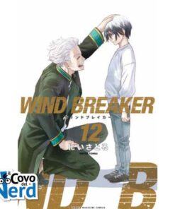 Wind Breaker Vol.12