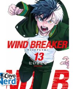 Wind Breaker Vol.13