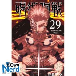 Jujutsu Kaisen - Sorcery Fight Vol.29