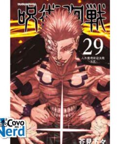 Jujutsu Kaisen - Sorcery Fight Vol.29