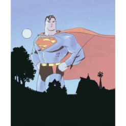 DC Pocket Collection - Superman: Stagioni