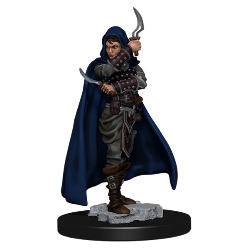 Pathfinder Battles: Premium Painted Figure - Human Rogue Female