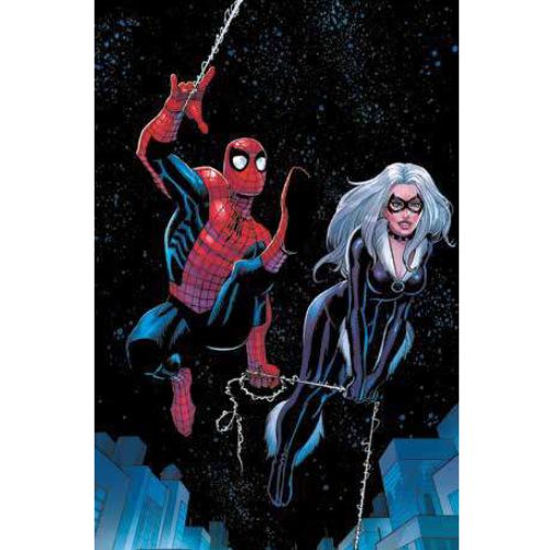 Amazing Spider - Man 6