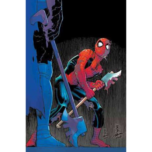 Amazing Spider - Man 8