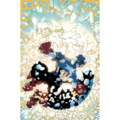 Capitan America 1 Variant di Frank Miller