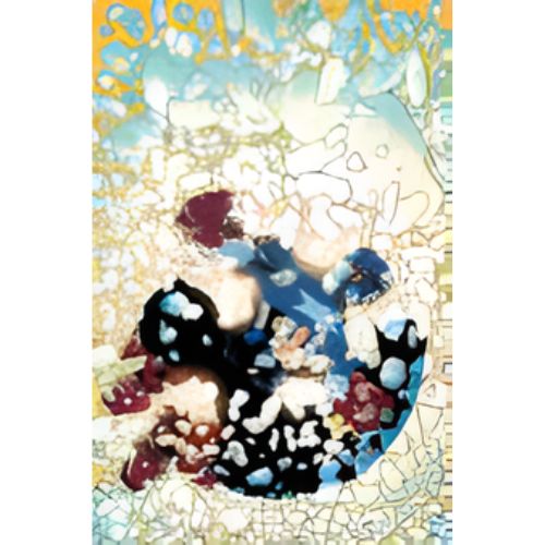 Capitan America 1 Variant di Frank Miller