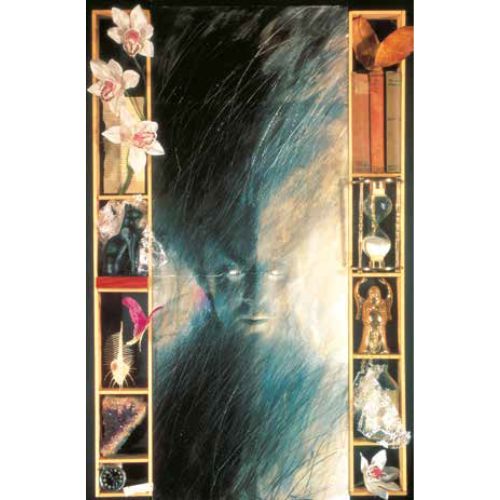 DC Facsimile Edition Sandman 1